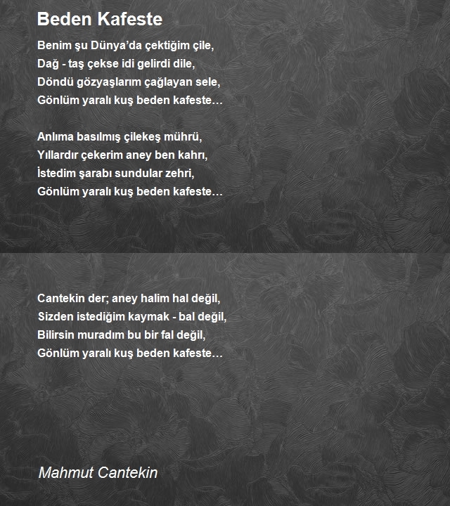 Mahmut Cantekin