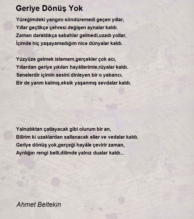 Ahmet Beltekin