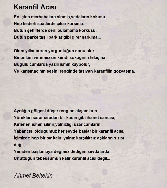 Ahmet Beltekin