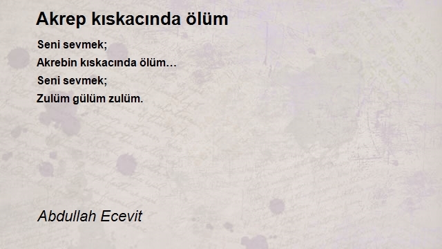 Abdullah Ecevit