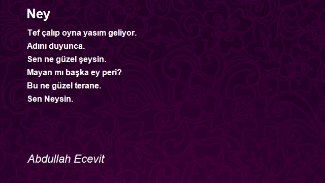 Abdullah Ecevit