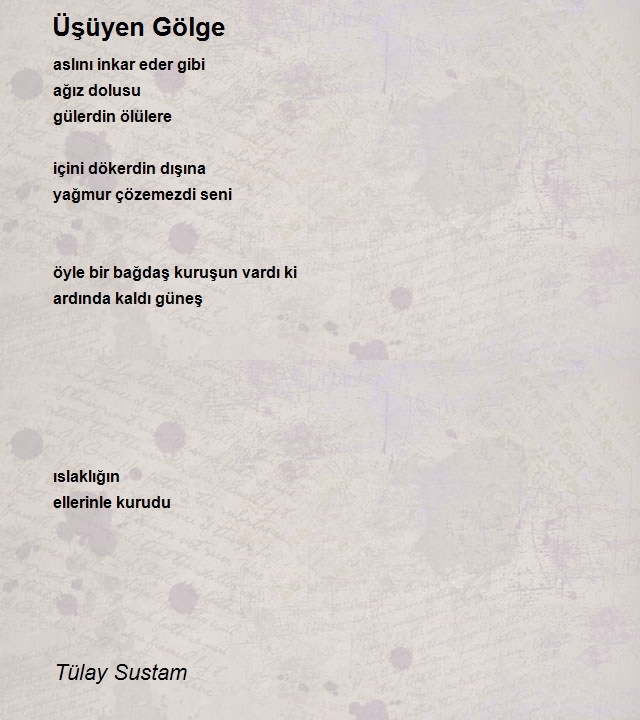 Tülay Sustam