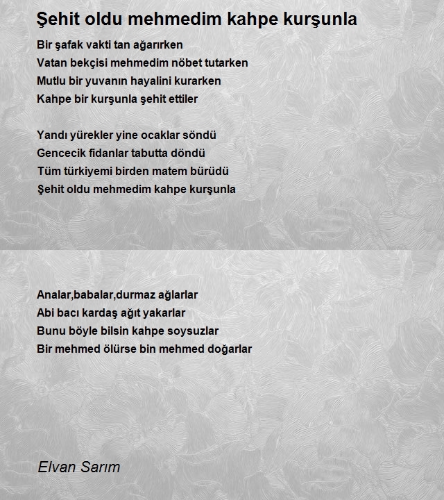 Elvan Sarım