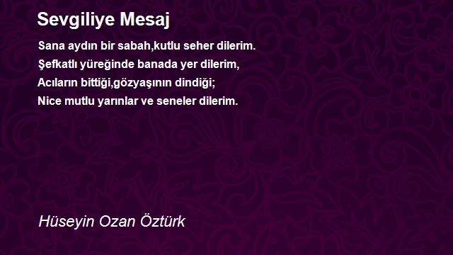 Hüseyin Ozan Öztürk