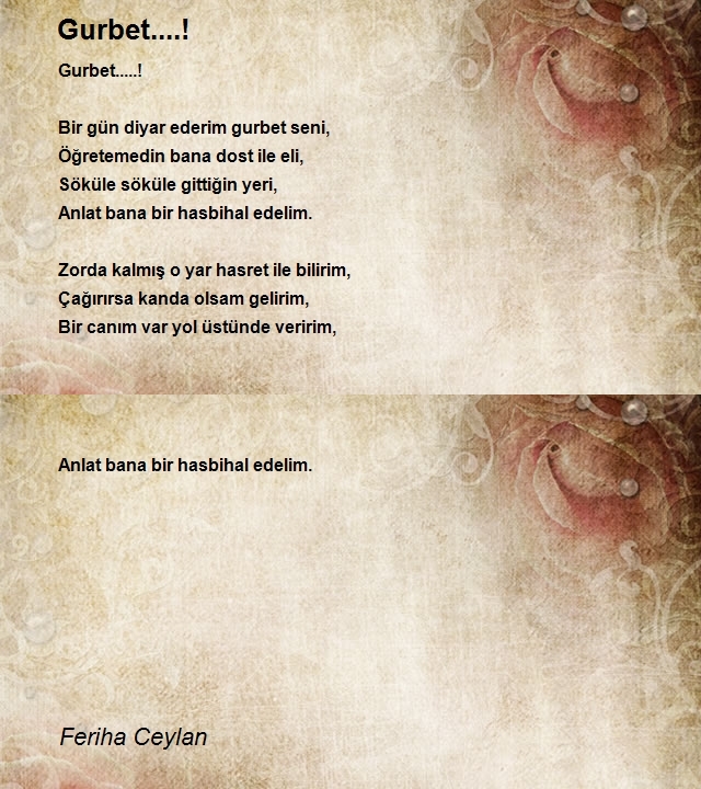 Feriha Ceylan