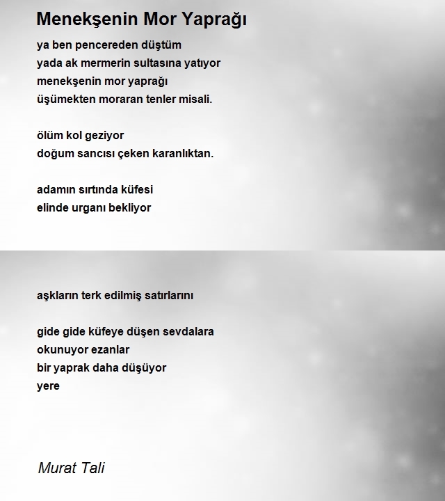 Murat Tali