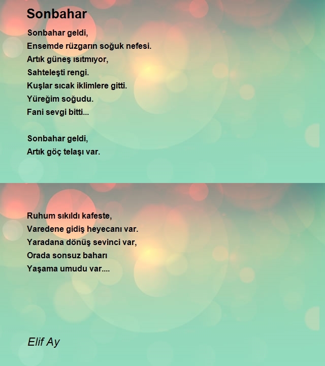 Elif Ay