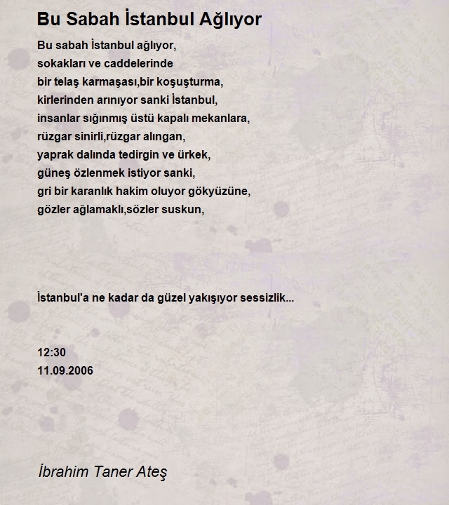 İbrahim Taner Ateş