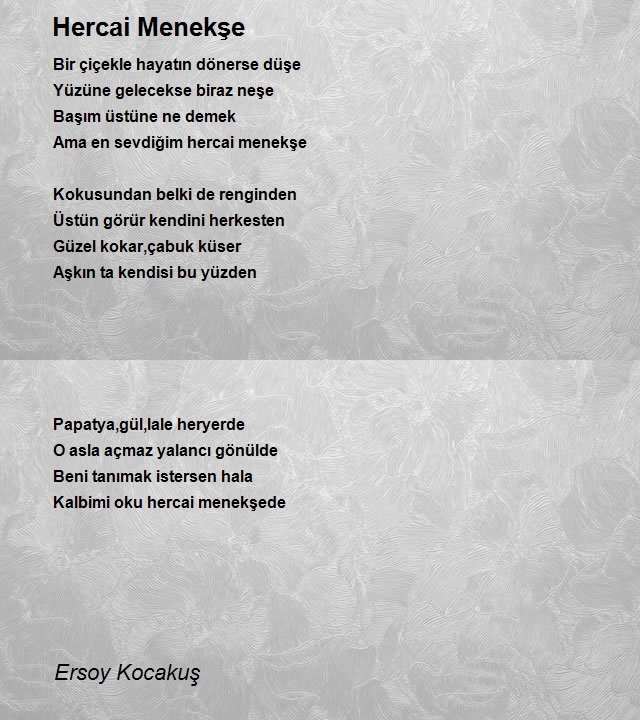 Ersoy Kocakuş