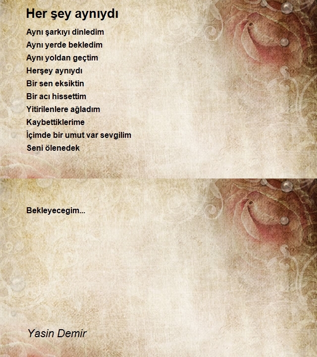 Yasin Demir