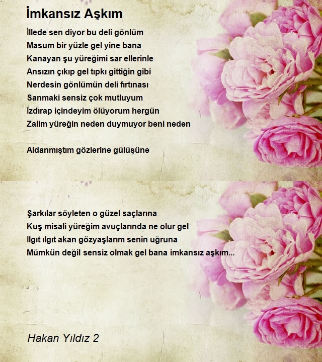 Hakan Yıldız 2