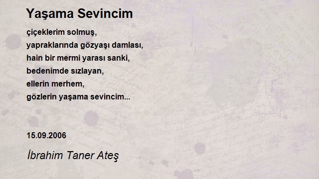 İbrahim Taner Ateş