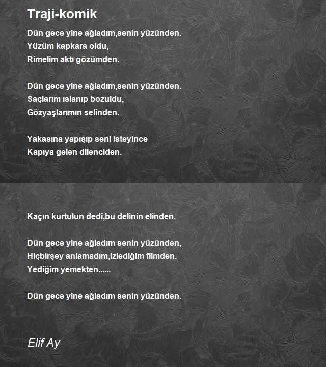 Elif Ay