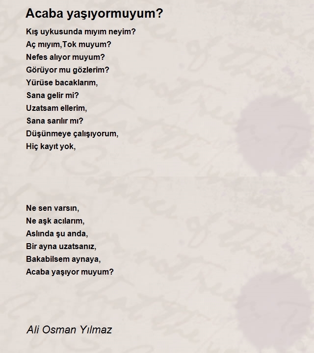 Ali Osman Yılmaz