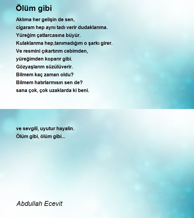 Abdullah Ecevit