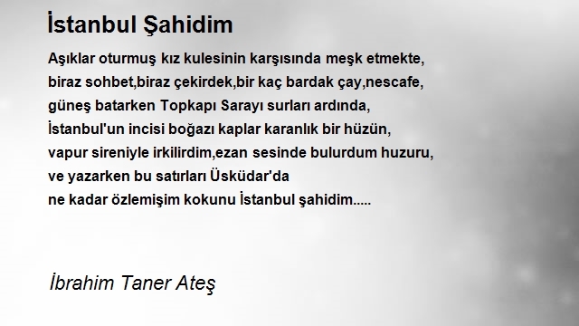 İbrahim Taner Ateş