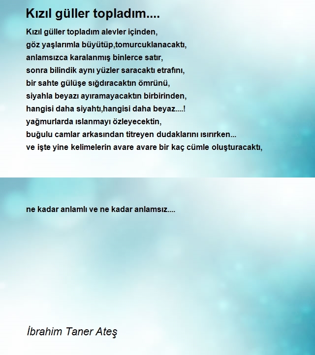 İbrahim Taner Ateş