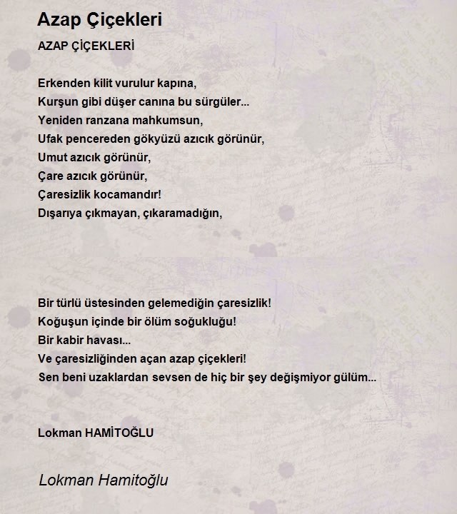 Lokman Hamitoğlu