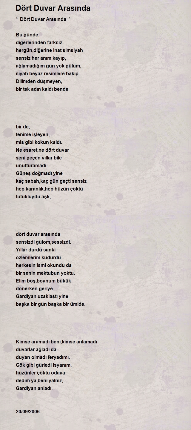 İbrahim Dikmen 2