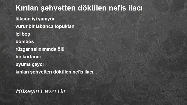 Hüseyin Fevzi Bir