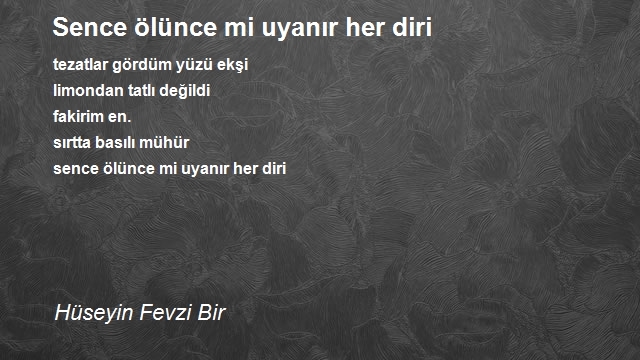 Hüseyin Fevzi Bir