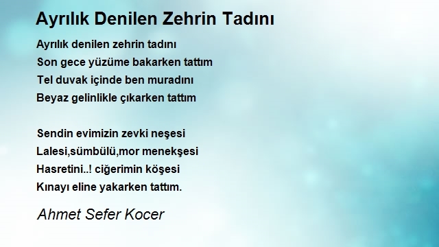 Ahmet Sefer Kocer