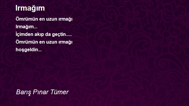 Barış Pınar Tümer