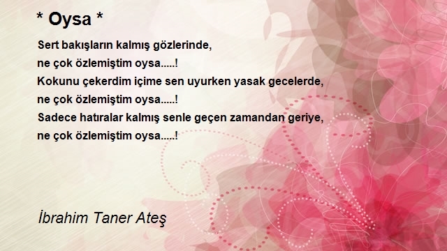 İbrahim Taner Ateş