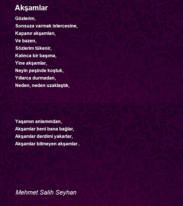 Mehmet Salih Seyhan