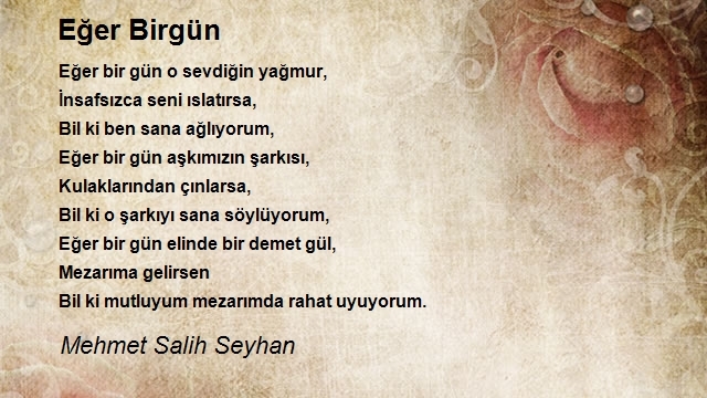 Mehmet Salih Seyhan