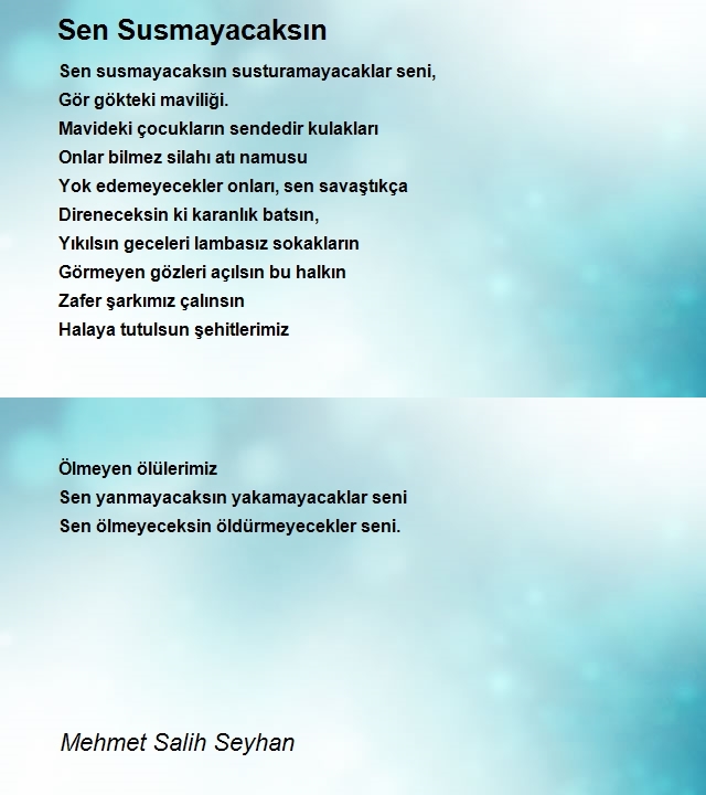 Mehmet Salih Seyhan