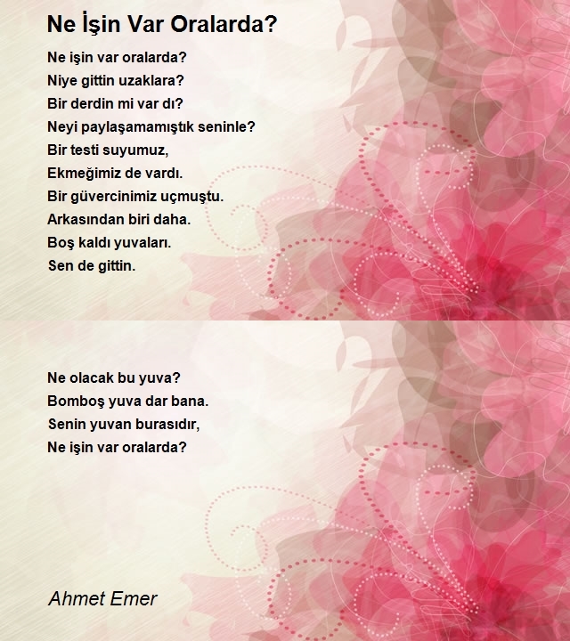 Ahmet Emer