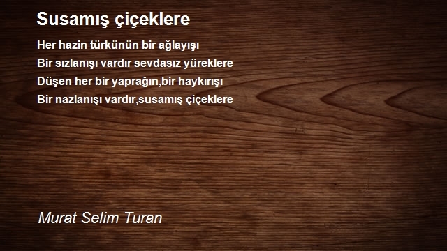 Murat Selim Turan