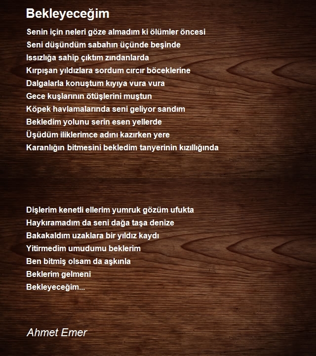 Ahmet Emer