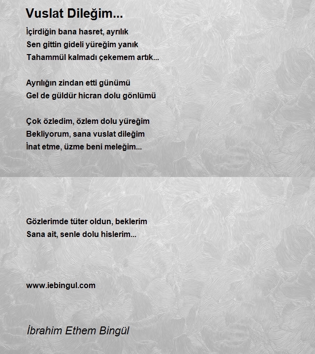 İbrahim Ethem Bingül