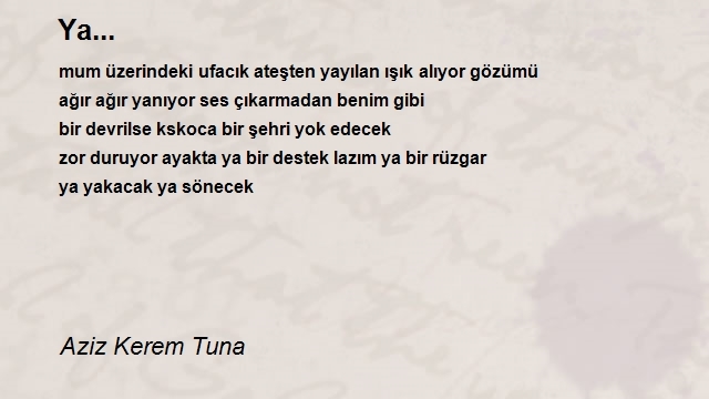 Aziz Kerem Tuna