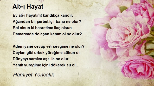 Hamiyet Yoncalık