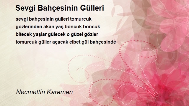 Necmettin Karaman