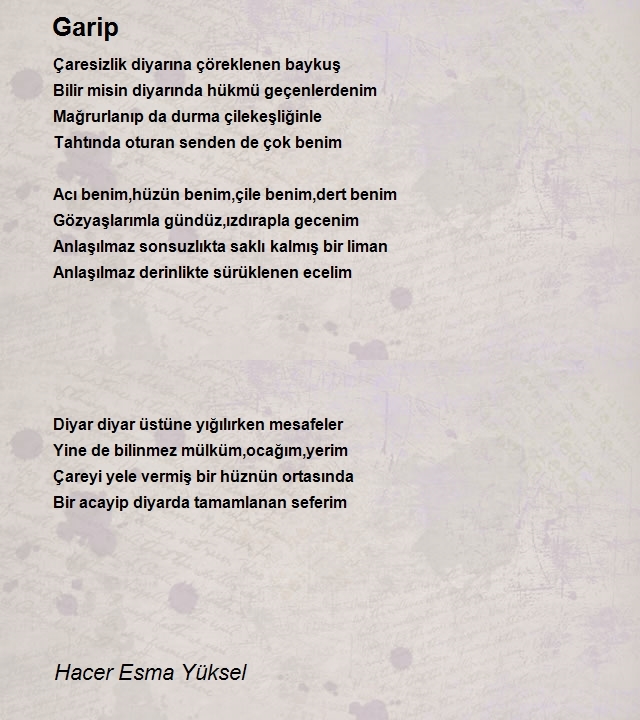 Hacer Esma Yüksel