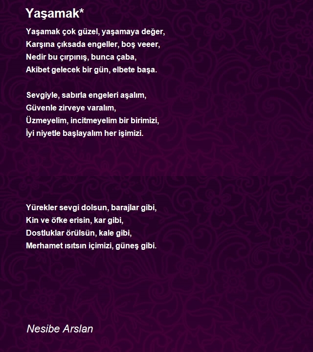 Nesibe Arslan