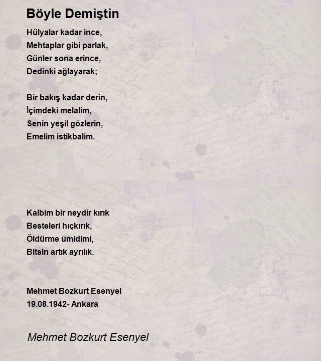 Mehmet Bozkurt Esenyel