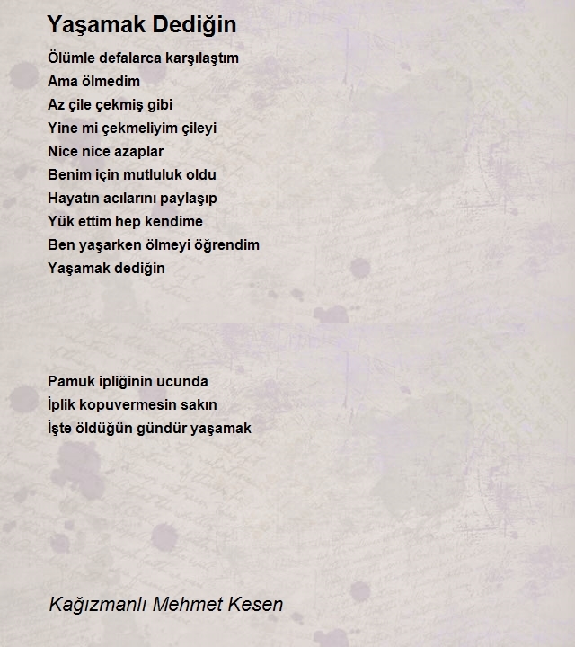 Kağızmanlı Mehmet Kesen