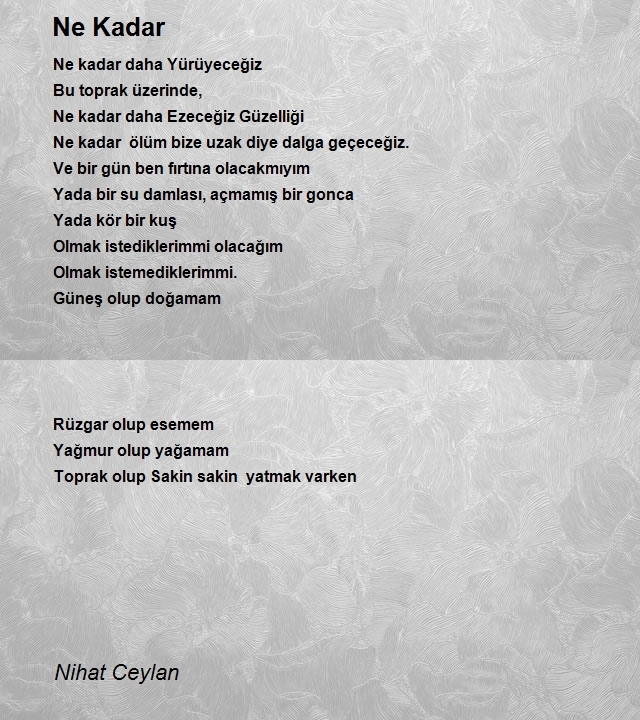 Nihat Ceylan