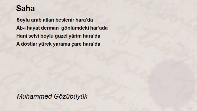 Muhammed Gözübüyük