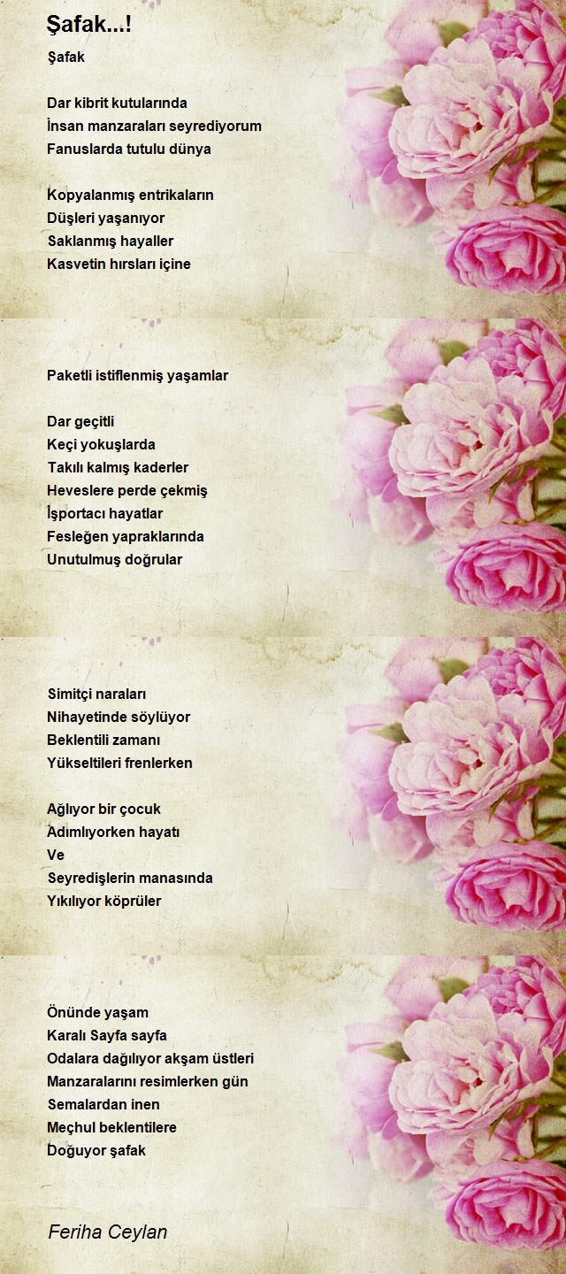 Feriha Ceylan