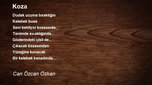 Can Özcan Özkan