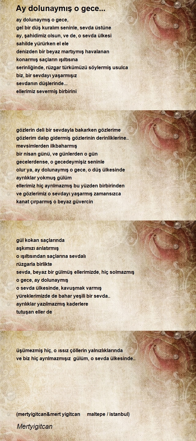 Şair Mertyigitcan