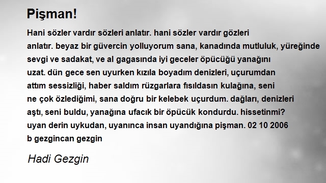 Hadi Gezgin