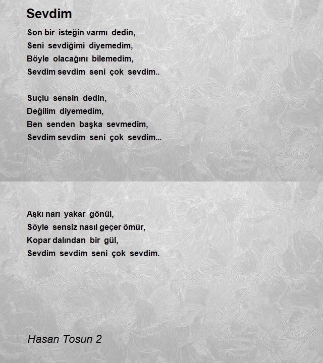 Hasan Tosun 2