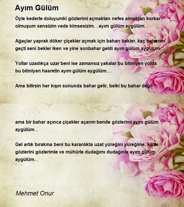 Mehmet Onur